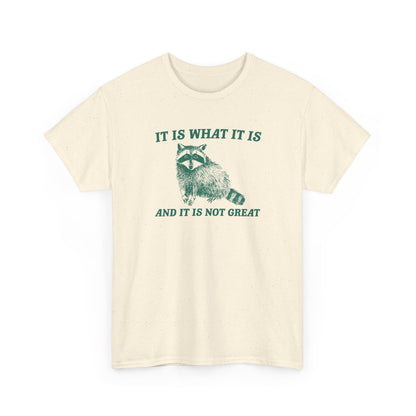 It is what it is and it is not great