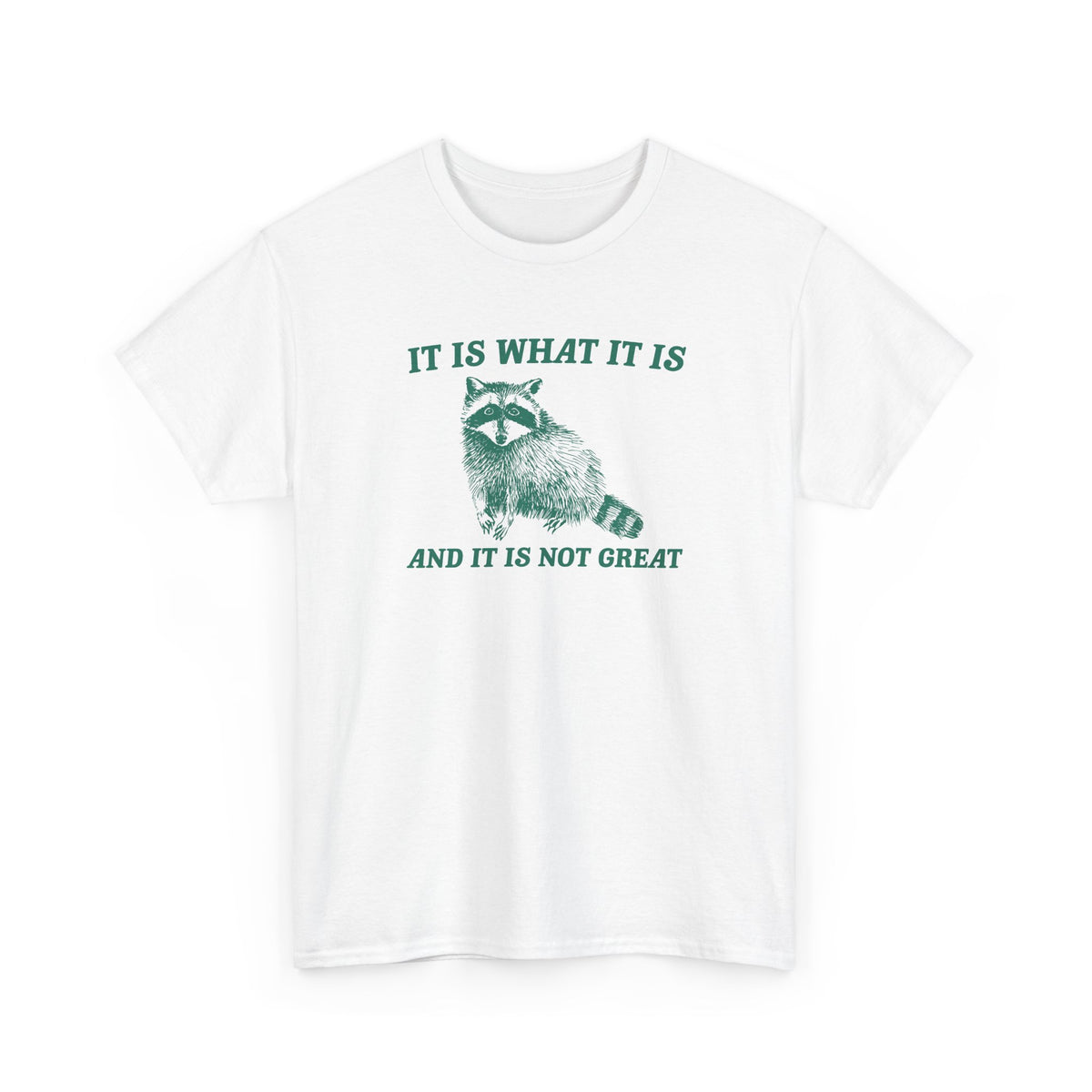 It is what it is and it is not great