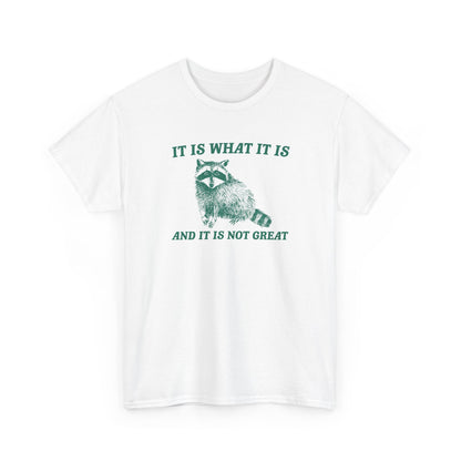 It is what it is and it is not great