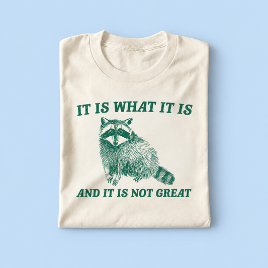 It is what it is and it is not great